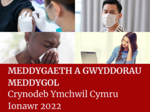 Crynodeb Ymchwil Cymru