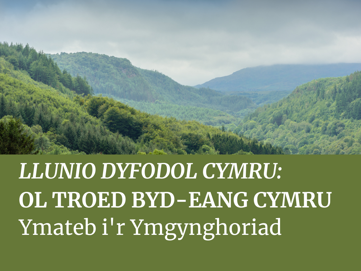 Llunio Dyfodol Cymru