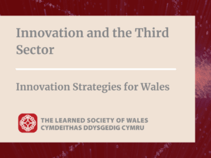 Innovation and the Third Sector