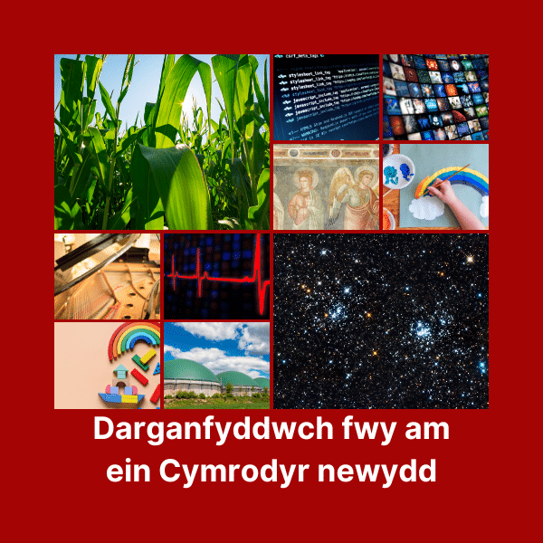 Darganfyddwch fwy am ein Cymrodyr newydd