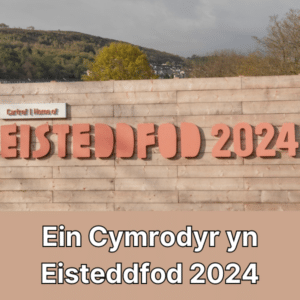 Ein Cymrodyr yn Eisteddfod 2024