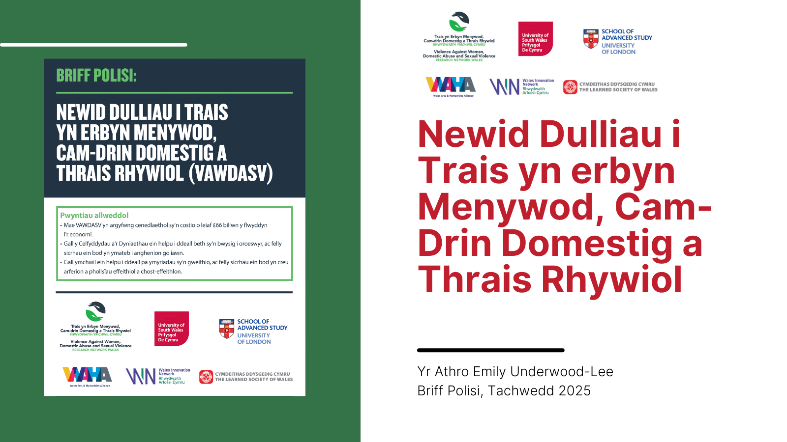 Graphic for report on Transforming Approaches to Violence against Women, Domestic Abuse, and Sexual Violence