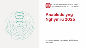 Graphic for Disability in Wales 2025 report