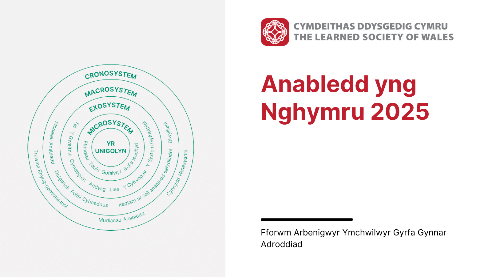Graphic for Disability in Wales 2025 report