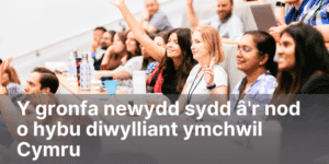Y gronfa newydd sydd â’r nod o hybu diwylliant ymchwil Cymru