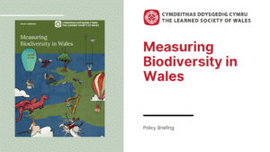 Graphic for Measuring Biodiversity in Wales publication