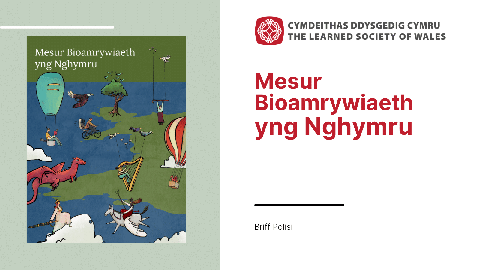 Graphic for Measuring Biodiversity in Wales publication