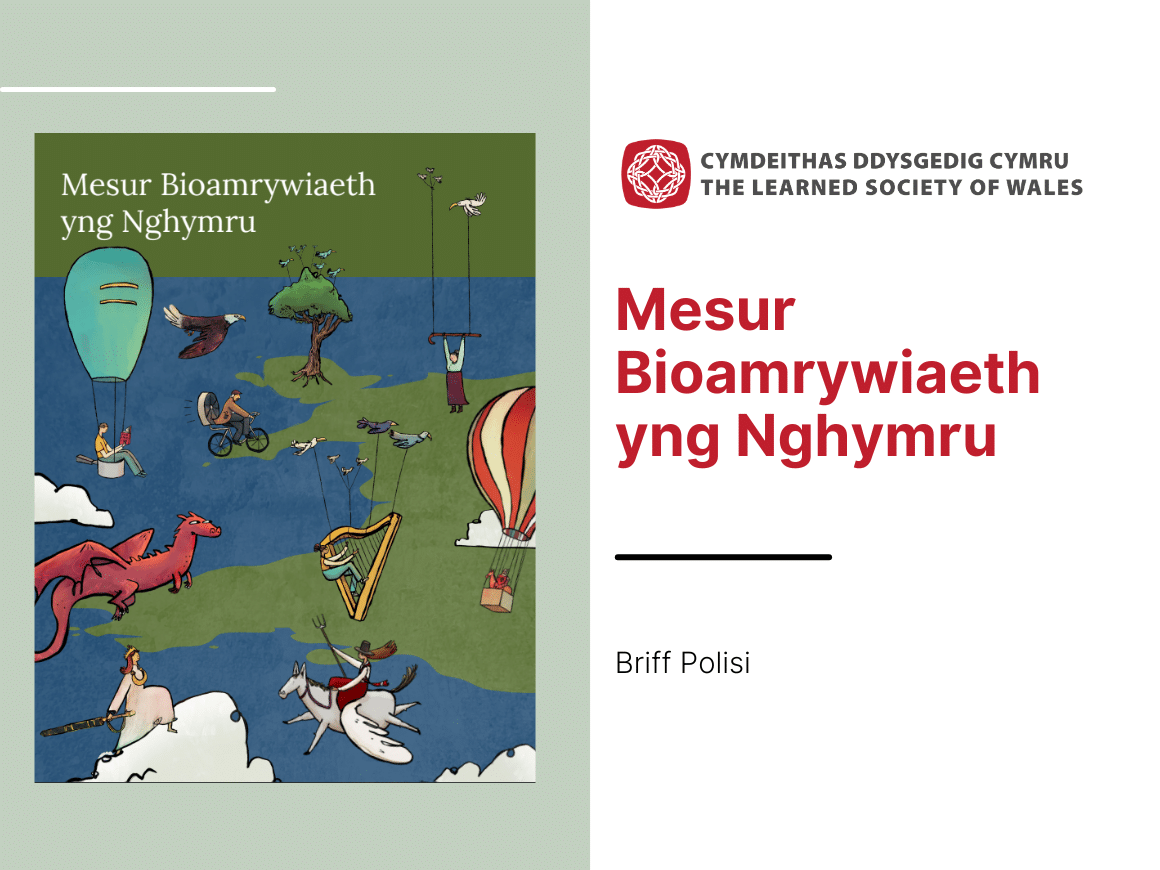 Cover sheet for Measuring Biodiversity in Wales report