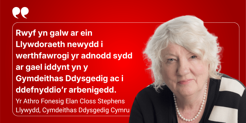 Graphic for story: securing the future of Welsh research